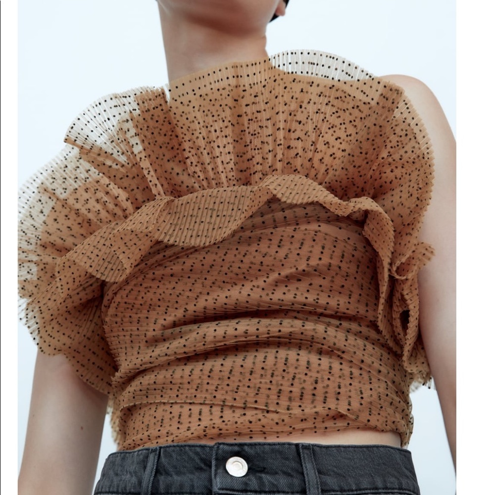 Zara Nude Tulle Crop Top